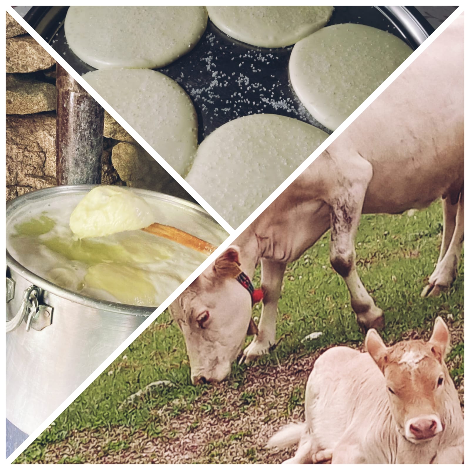 Doğal ve Geleneksel Ürünler